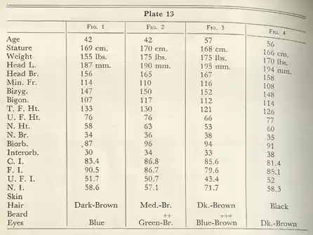 Plate 13